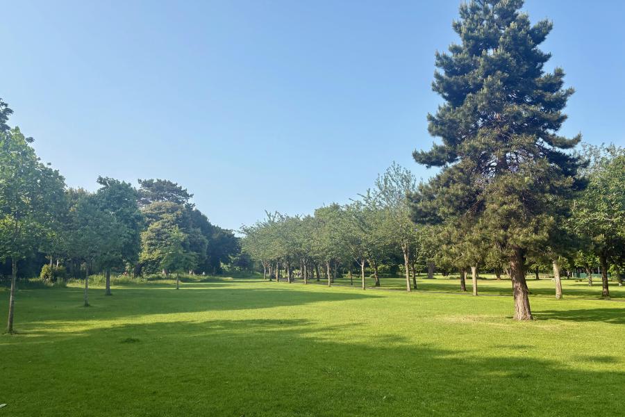 アイルランド引っ越し体験記 アイルランド入国編