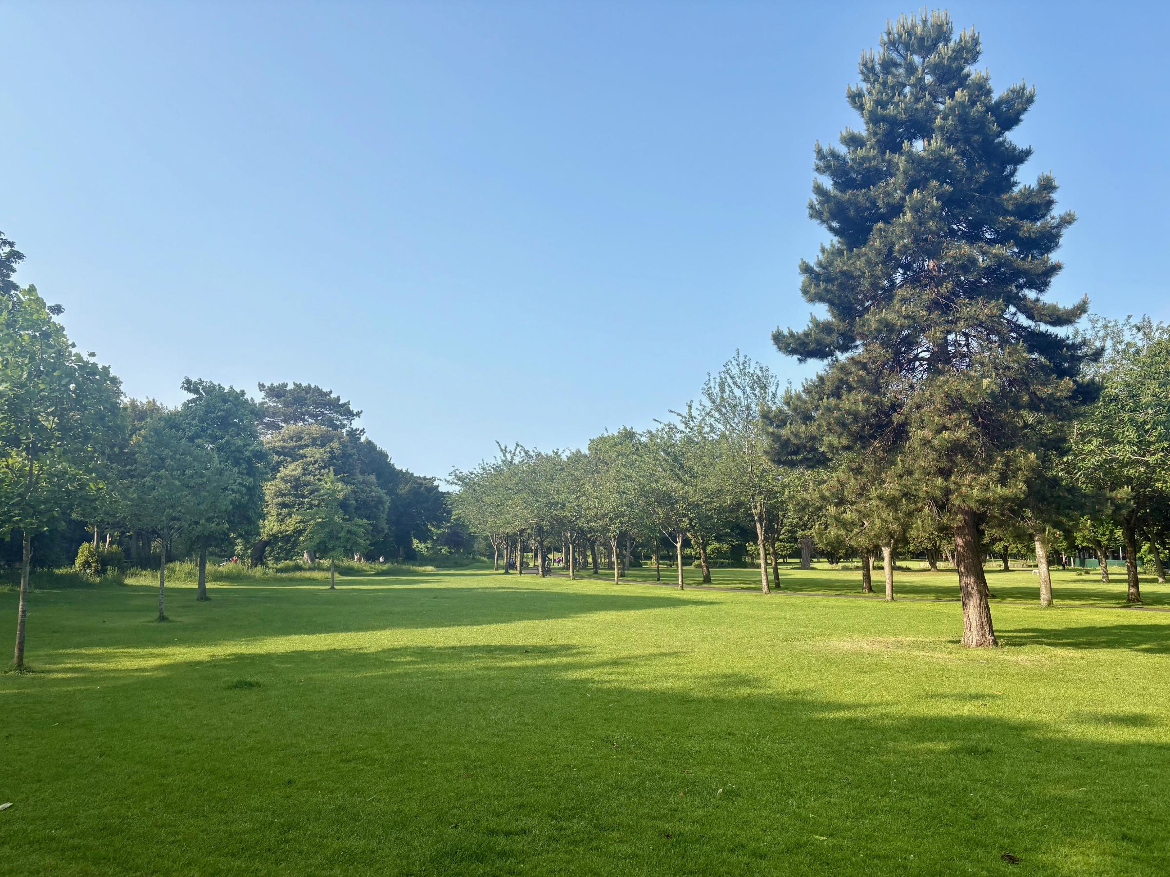 アイルランド引っ越し体験記 アイルランド入国編